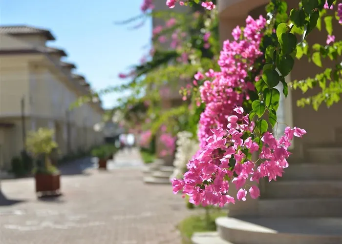 Sunset Club Lebrentals Lägenhet